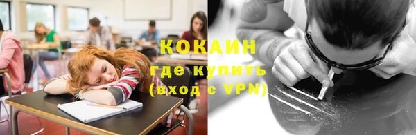 шишки Архангельск