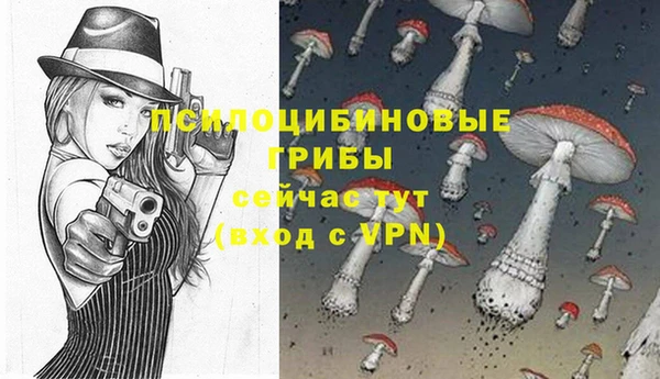 спайс Верея