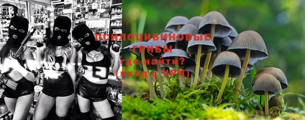 мяу мяу мука Бородино