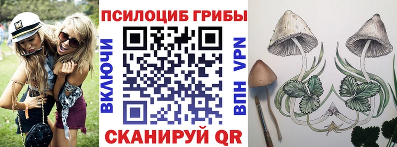Галлюциногенные грибы Cubensis  Вилючинск 